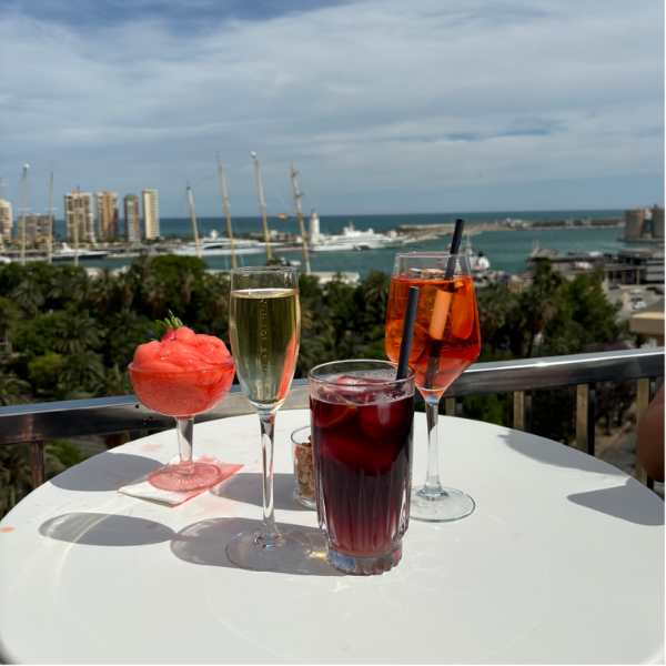 Terraza Molino Lario Rooftop Bar Malaga Spanje